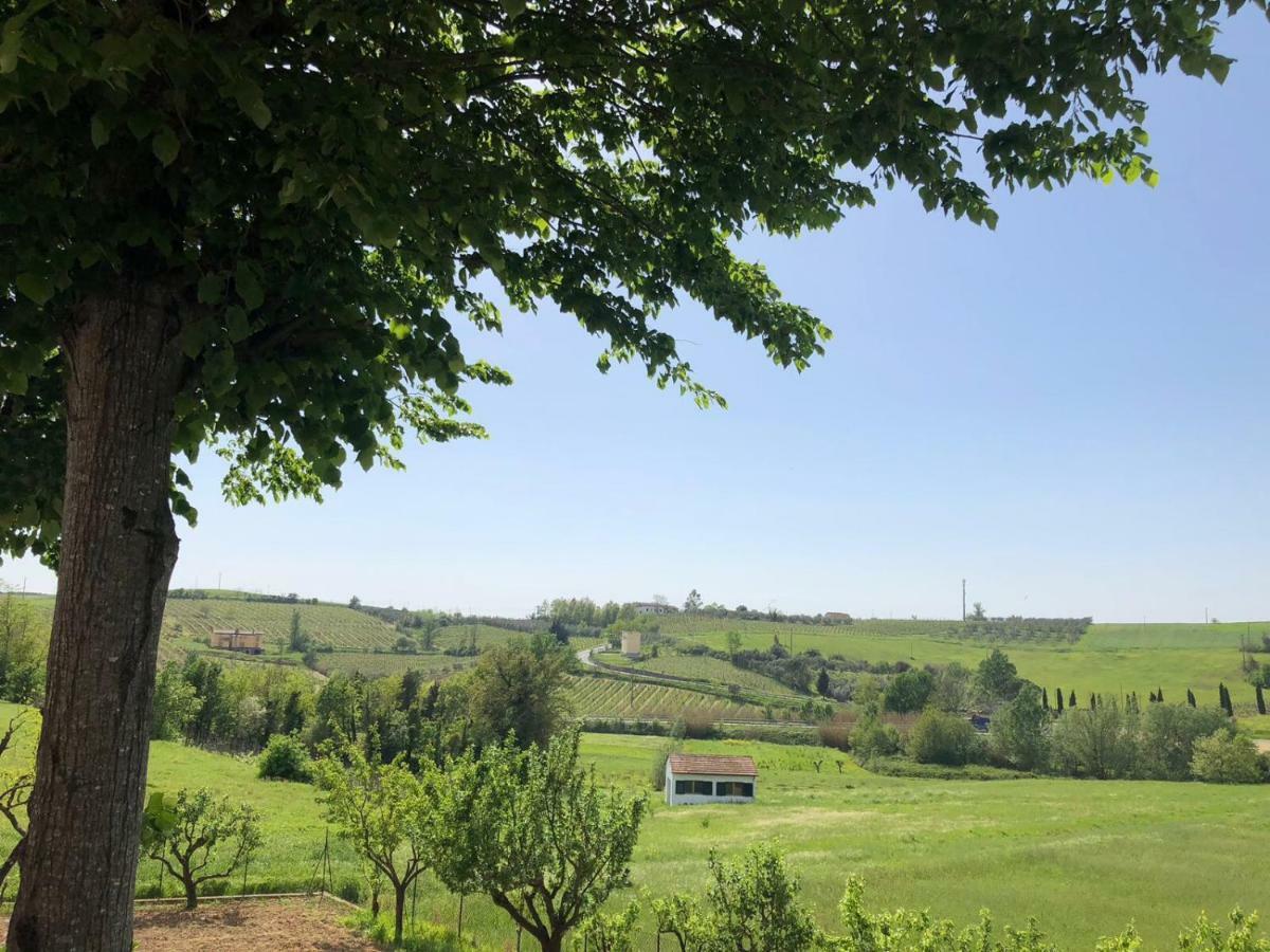Le Case Di Cinzia Vinci Exterior foto